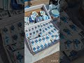 Olimpíadas de Veteranos de Malvinas. San Rafael 2024