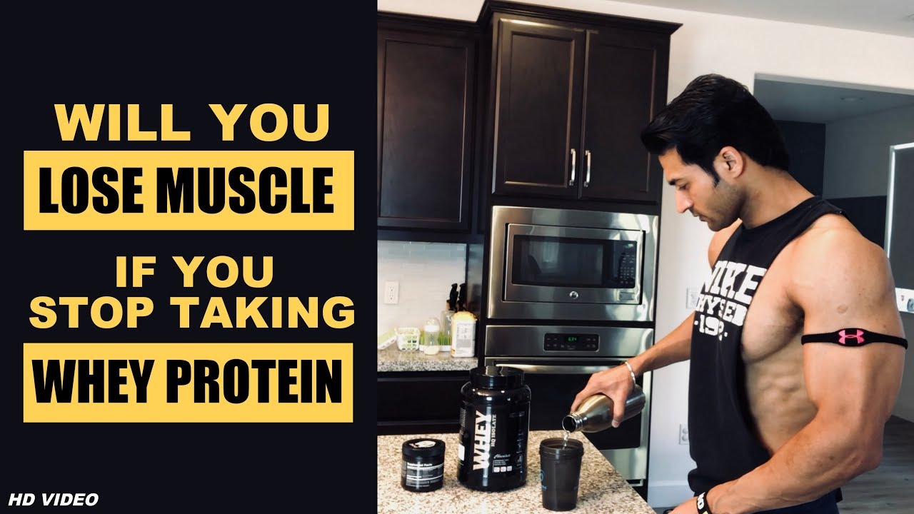 will-you-lose-muscle-if-you-stop-taking-whey-protein-info-by-guru