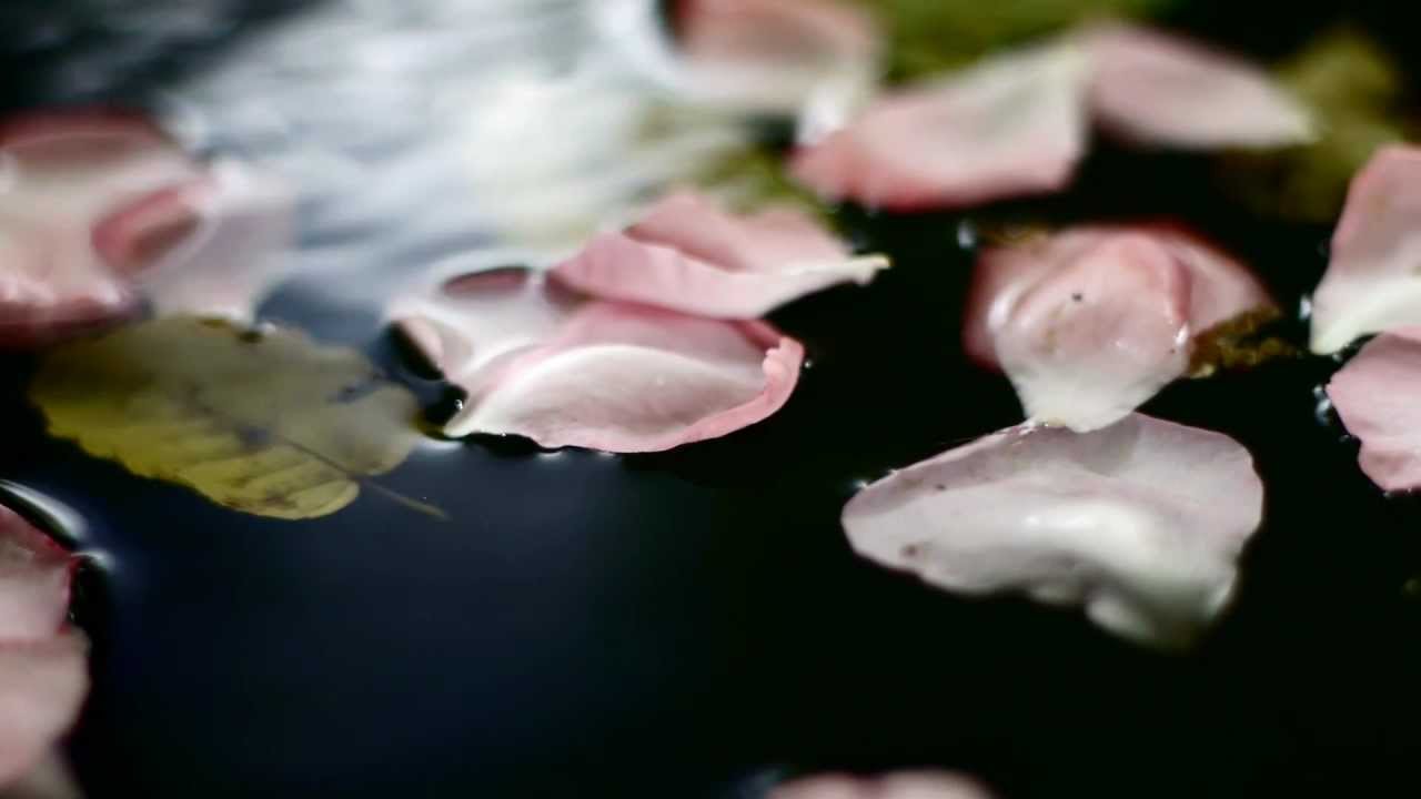 Broken Flowers YouTube