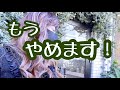 【白髪染卒業】白髪染をやめてオシャレハイライト!