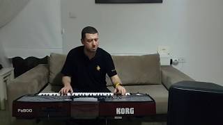 HAVAR - KORG PA800 & YAMAHA DBR 15 - CANLI PERFORMANS Resimi