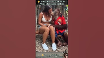 18 RARE Animal Clips You MUST See! ⚡ WILD ZOOM #animals #animalshorts  #animalclips