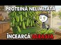 Mai multă proteină decât carnea de vită pe pervaz în 5 min fără sol fără spațiu fără scuze