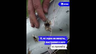Подполковник Павел Белоусов сбил вражеский дрон из пулемёта
