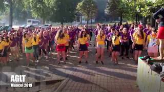 Muncel 2019 - Djst Aglt - Dansul Taberei - Queen - Dont Stop Me Now