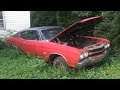 Cats found living in a neglected 1970 SS Chevelle!!!