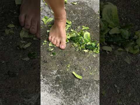 Barefoot massage 👣A great way to relax from stress🥒