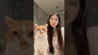 my cat Reaction 🙄😹 #funny #shorts #shortsvideo