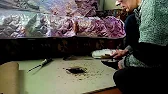 Весело в деревне мы живём!!! Евгений Закаров