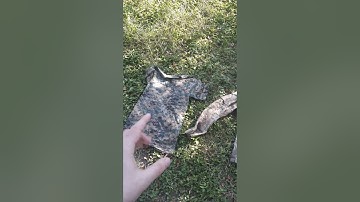 Marpat woodland camo vs Army Ocp Multicam