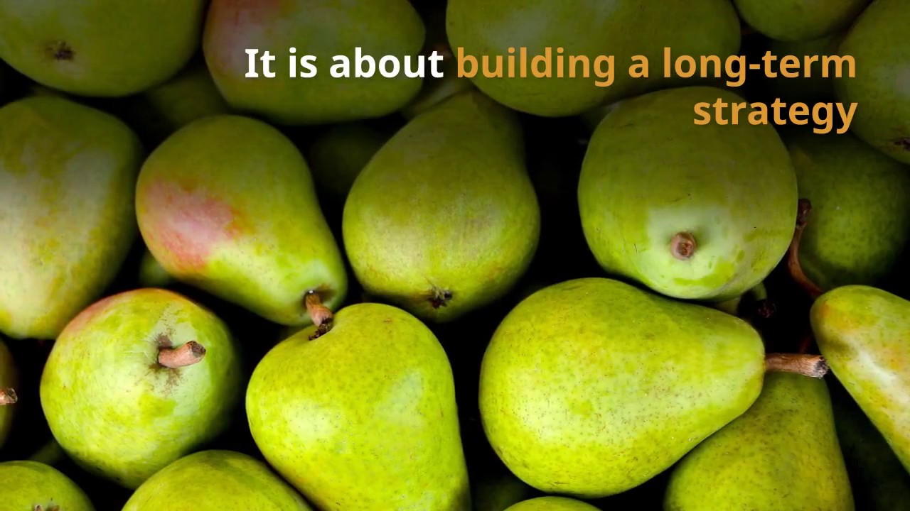 Content Marketing Tips For Startups - Engage Content Marketing Agency, Dublin