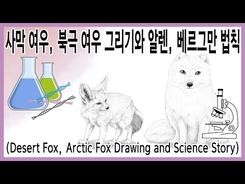 사막 여우, 북극 여우 그리기와 알렌, 베르그만 법칙 #과학 (Desert Fox, Arctic Fox Drawing and Allen&rsquo;s, Bergmann&rsquo;s rule)