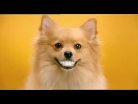 Pedigree DentaStix Ελληνική διαφήμιση (Σκυλομασέλες)
