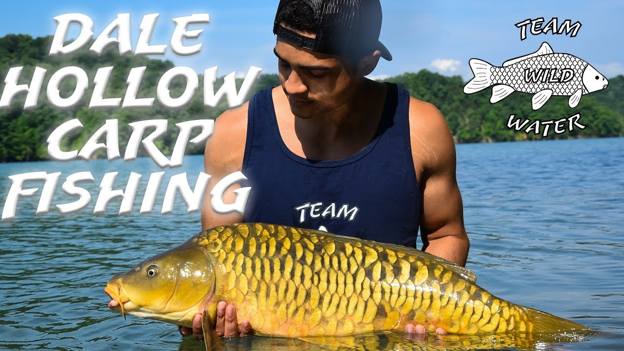 Catching Big Carp in Dale Hollow YouTube