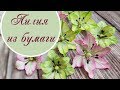 Лилия из бумаги для скрапбукинга / Paper lily tutorial