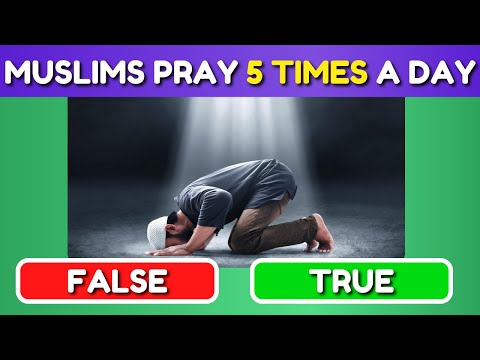 True or False Islam Edition ✅ 🟥 (no music) Islam Quiz