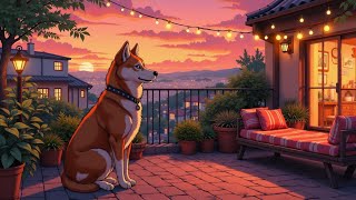 🐾 Akita Dog's Lofi Sunset 🌅 Cozy Balcony Chill 🎧 Soothing Lofi Music for Studying & Relaxing screenshot 2