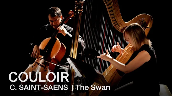 Camille Saint-Sans: The Swan | Couloir