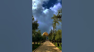 تلاوة هادئة 💕🦋 #القرآن_الكريم #فلسطين #تلاوة_هادئة #غزة #القدس #فلسطين_قضيتنا #قضيتنا_فلسطين#الصلاة🤍