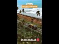 Caravan in kerala