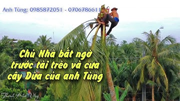Chủ Nhà rất hài lòng khi Anh Tùng cưa 2 cây Dừa có độ khó cao (P2)