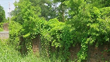 Commercial Property for sale on Highway 🛣NH-139 Near AIIMS Hospital Patna 🏥Fully Commercial plot