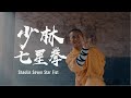 Shaolin seven star fist | 少林七星拳： 拳打卧牛之地，制敌方寸之间