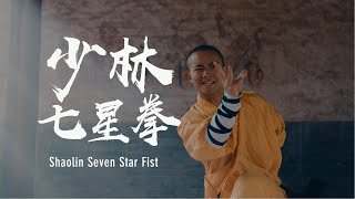 Shaolin seven star fist | 少林七星拳： 拳打卧牛之地，制敌方寸之间