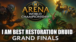 I HEALED AWC GRAND FINALS LEVEL 3v3 MATCH AS RESTORATION DRUID