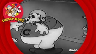 Looney Tunes - Freddy The Freshman