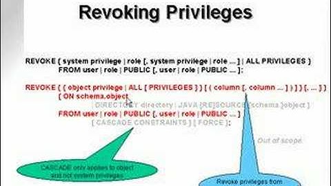 learning oracle application developer 53