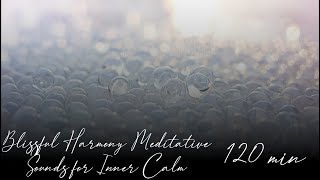 Blissful Harmony Meditative Sounds for Inner Calm