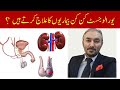 Urologist konsi bemariyon ka ilaj krty hain  urologist k pass kb jana chahiyay  dr fartash sarwar