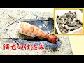 【寿司海老の仕込み方】寿司職人の技やボイルのコツ　無頭16-20ブラックタイガー編　How to prepare shrimp
