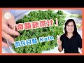 (中文字幕)[食物奇蹟] FM123 奇蹟蔬菜汁 Miracle Smoothie （羽衣甘藍 Kale)