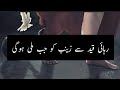 Rehai qaid se zainab ko jab mili hogi noha lyrics and subtitles  farhan ali waris nohy  lyrics