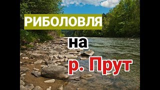 Риболовля на річці Прут на кивок