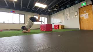 Hip flexor Prone Eccentric 3-0-0-0