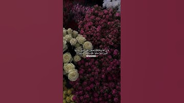 #foryou #explore #follow #like #memes#فولو #تلاوة_خاشعة #قرآن #اللهم_صل_وسلم_على_نبينا_محمد