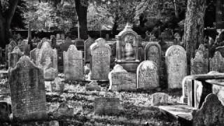 Speedwash Haunted Car Wash