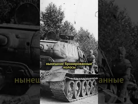 КАК ДОЛГО МОЖЕТ