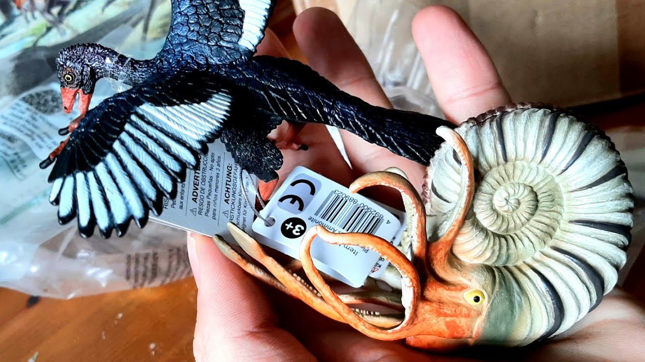 Everything Dinosaur Unboxing Video - Safari Archaeopteryx and CollectA Pleuroceras ammonite