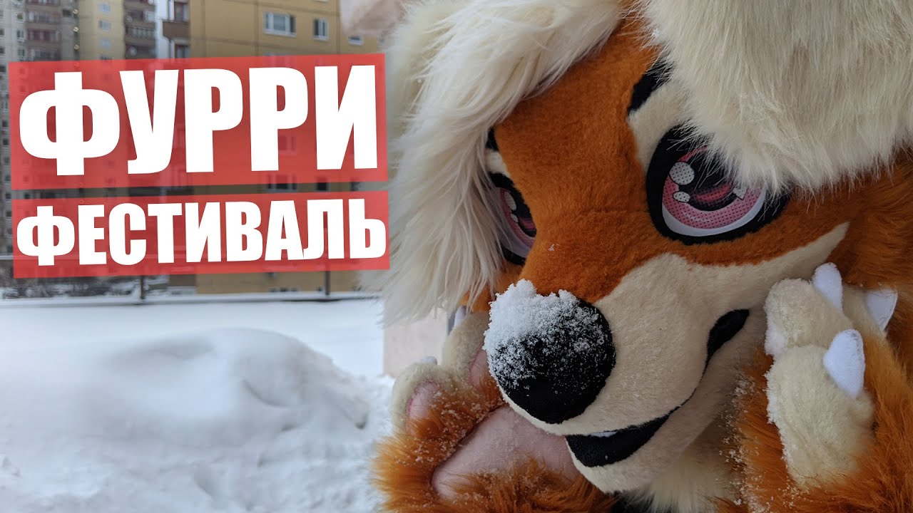 Any furry fest. Ани фурри фест 2022. Фурри фестиваль. Furry fest. Фурри фесты.