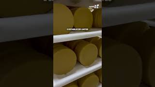 APPCC NO SEU LATICINIO