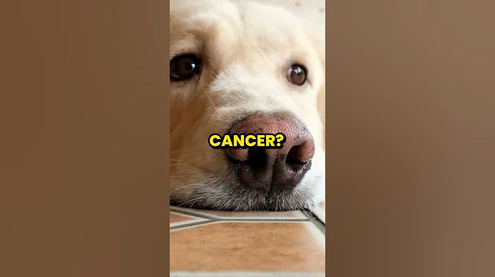 Dogs Can Smell Cancer!? | Mind-Blowing Animal Facts!