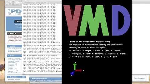 VMD Tutorial 2  loading a pdb structure file directly