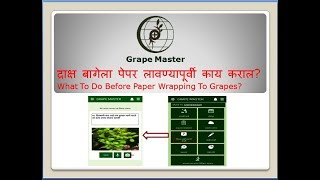 Grape Master - द्राक्ष बागेला पेपर लावण्यापूर्वी काय कराल? screenshot 4