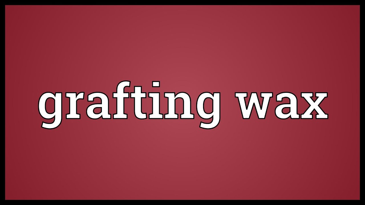 Grafting wax Meaning YouTube