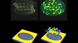 Three Quantum Waves with Different Dispersion in a Nonlinear Elliptical Stadium 