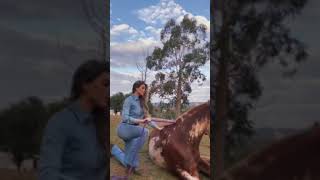 Amazonas Testada Cavalo Ensinado Vídeo Pra Status